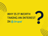 why is it worth taking an interest in drupal