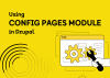 Using Config Pages Module in Drupal